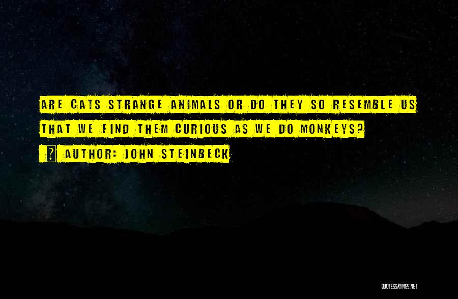 John Steinbeck Quotes: Are Cats Strange Animals Or Do They So Resemble Us That We Find Them Curious As We Do Monkeys?