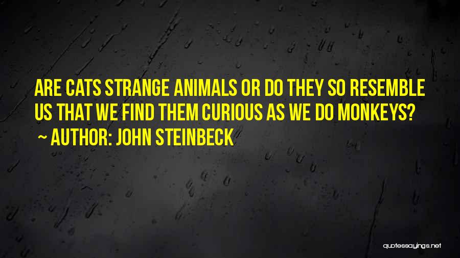 John Steinbeck Quotes: Are Cats Strange Animals Or Do They So Resemble Us That We Find Them Curious As We Do Monkeys?