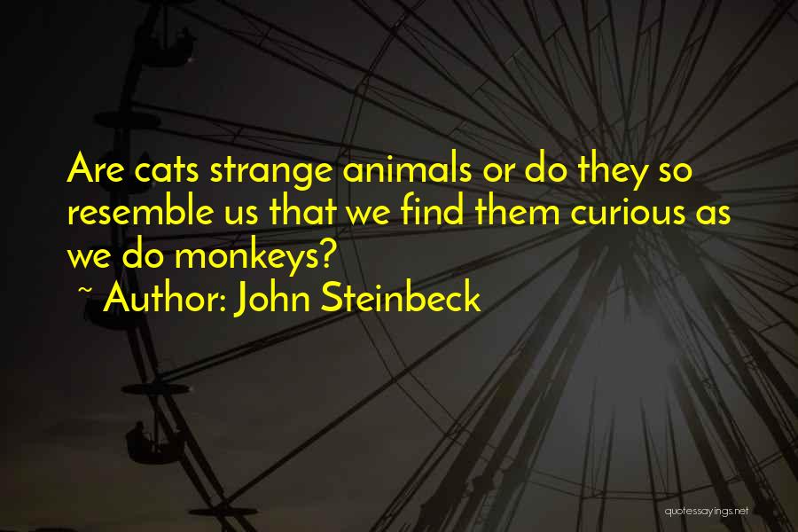 John Steinbeck Quotes: Are Cats Strange Animals Or Do They So Resemble Us That We Find Them Curious As We Do Monkeys?