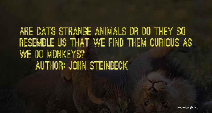 John Steinbeck Quotes: Are Cats Strange Animals Or Do They So Resemble Us That We Find Them Curious As We Do Monkeys?