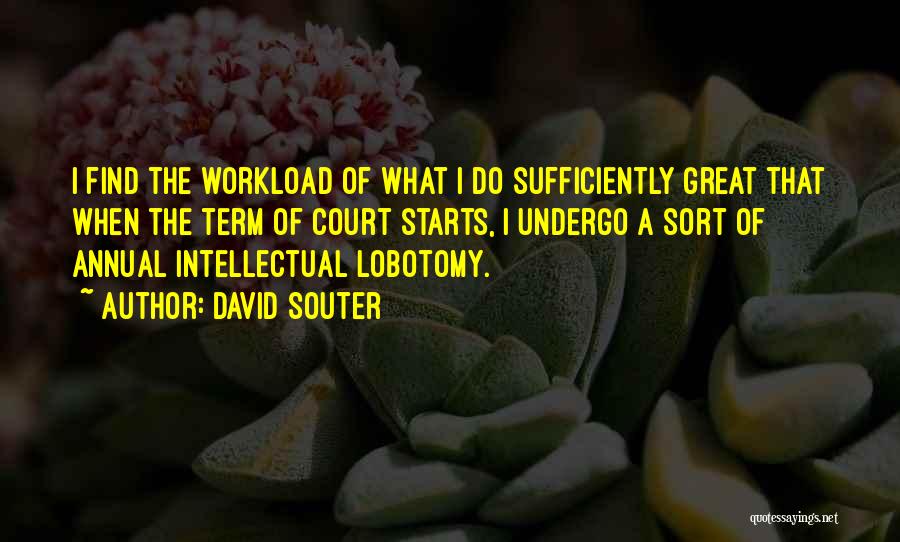 David Souter Quotes: I Find The Workload Of What I Do Sufficiently Great That When The Term Of Court Starts, I Undergo A