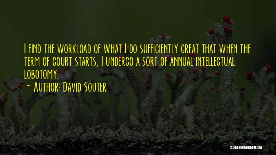 David Souter Quotes: I Find The Workload Of What I Do Sufficiently Great That When The Term Of Court Starts, I Undergo A