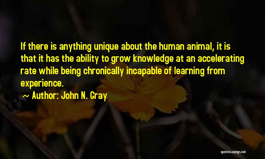 John N. Gray Quotes: If There Is Anything Unique About The Human Animal, It Is That It Has The Ability To Grow Knowledge At