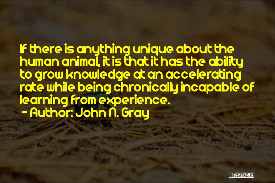 John N. Gray Quotes: If There Is Anything Unique About The Human Animal, It Is That It Has The Ability To Grow Knowledge At