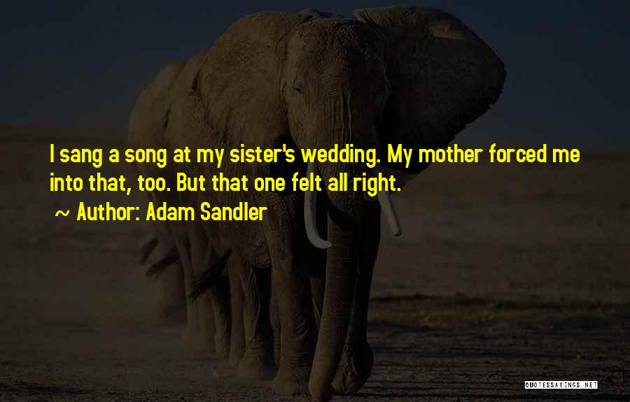 Adam Sandler Quotes: I Sang A Song At My Sister's Wedding. My Mother Forced Me Into That, Too. But That One Felt All