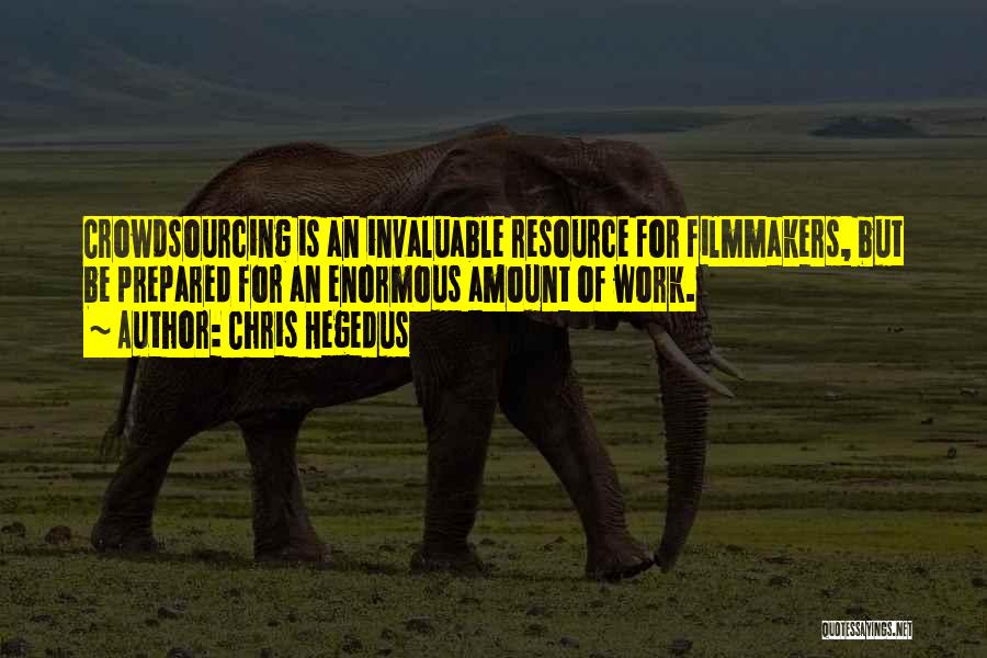 Chris Hegedus Quotes: Crowdsourcing Is An Invaluable Resource For Filmmakers, But Be Prepared For An Enormous Amount Of Work.