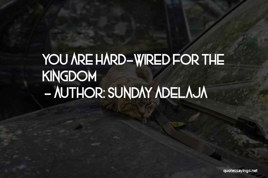 Sunday Adelaja Quotes: You Are Hard-wired For The Kingdom