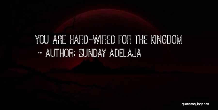 Sunday Adelaja Quotes: You Are Hard-wired For The Kingdom
