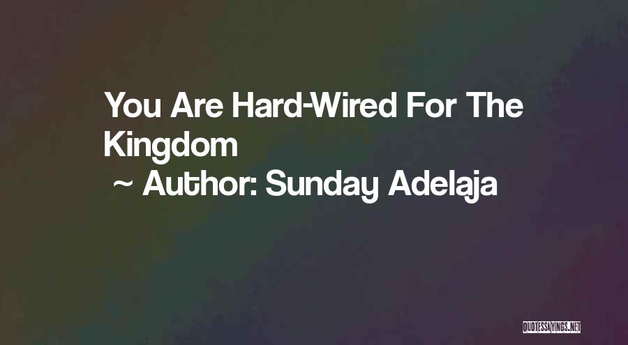 Sunday Adelaja Quotes: You Are Hard-wired For The Kingdom