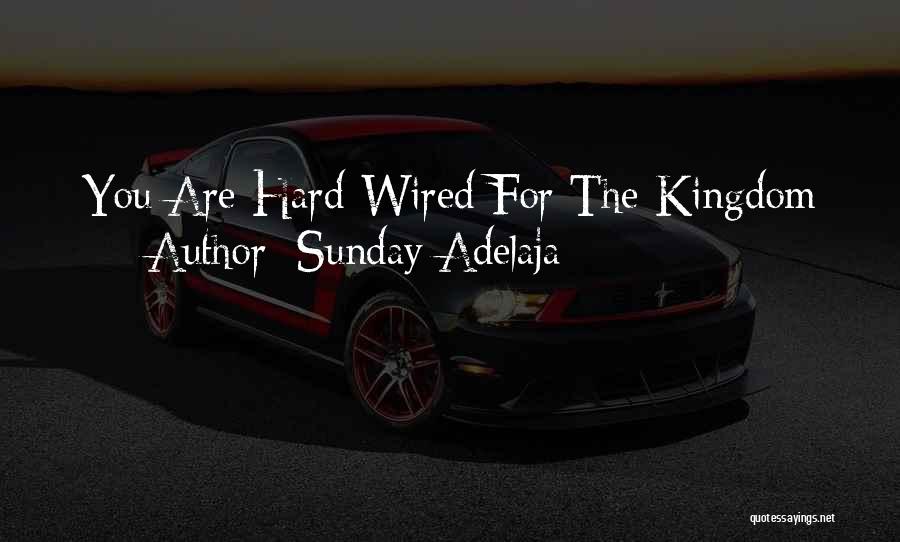 Sunday Adelaja Quotes: You Are Hard-wired For The Kingdom
