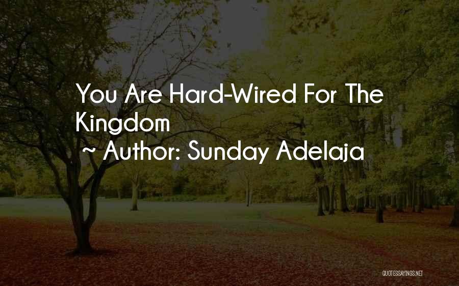 Sunday Adelaja Quotes: You Are Hard-wired For The Kingdom