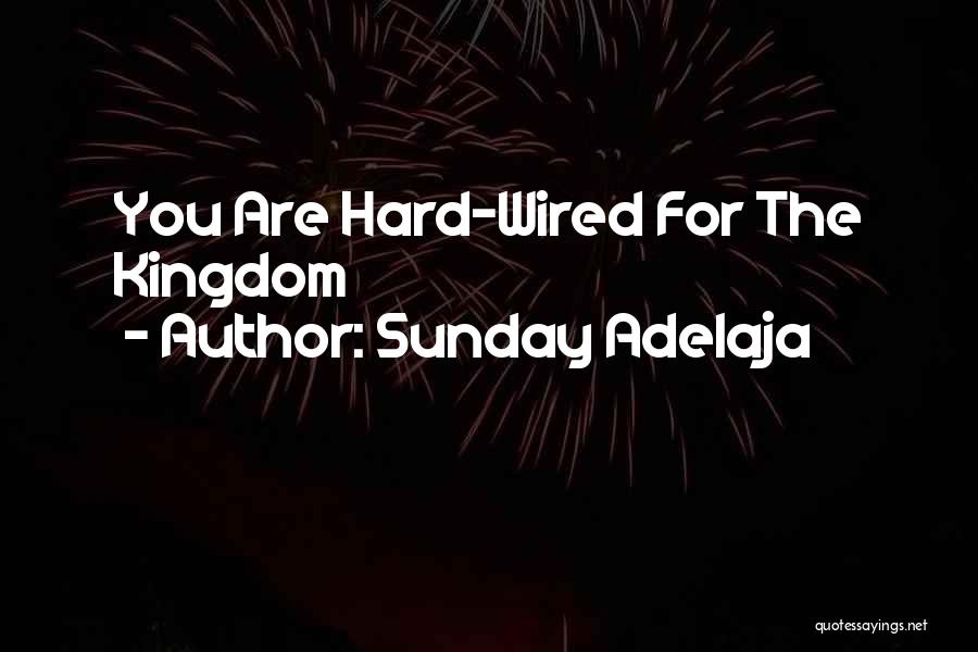 Sunday Adelaja Quotes: You Are Hard-wired For The Kingdom