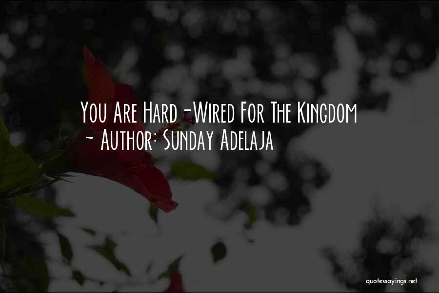 Sunday Adelaja Quotes: You Are Hard-wired For The Kingdom