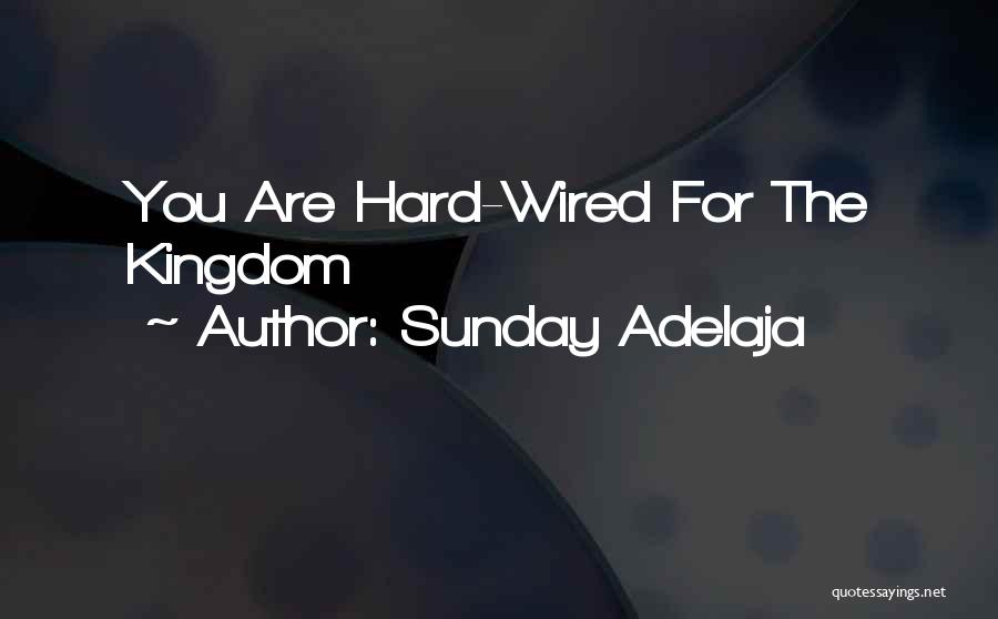 Sunday Adelaja Quotes: You Are Hard-wired For The Kingdom
