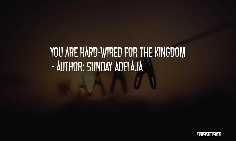 Sunday Adelaja Quotes: You Are Hard-wired For The Kingdom