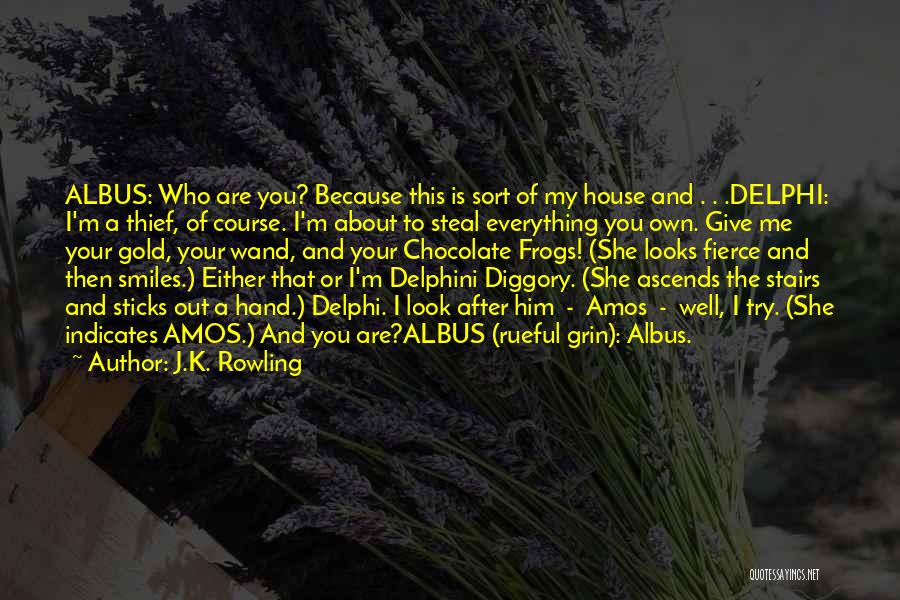 J.K. Rowling Quotes: Albus: Who Are You? Because This Is Sort Of My House And . . .delphi: I'm A Thief, Of Course.