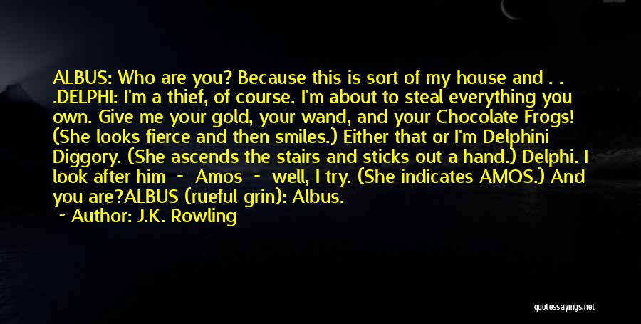 J.K. Rowling Quotes: Albus: Who Are You? Because This Is Sort Of My House And . . .delphi: I'm A Thief, Of Course.