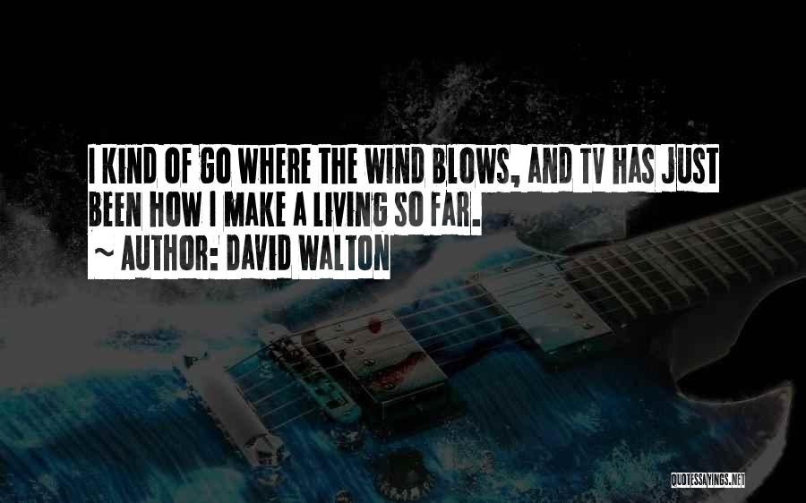 David Walton Quotes: I Kind Of Go Where The Wind Blows, And Tv Has Just Been How I Make A Living So Far.