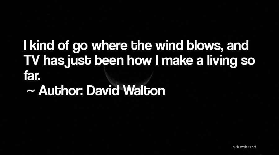 David Walton Quotes: I Kind Of Go Where The Wind Blows, And Tv Has Just Been How I Make A Living So Far.