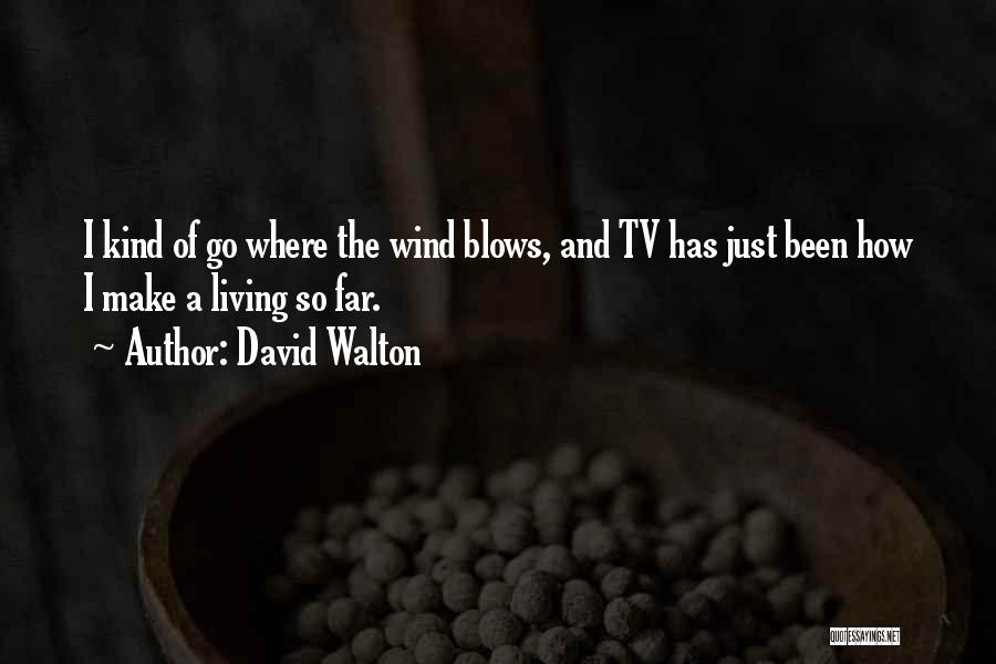 David Walton Quotes: I Kind Of Go Where The Wind Blows, And Tv Has Just Been How I Make A Living So Far.