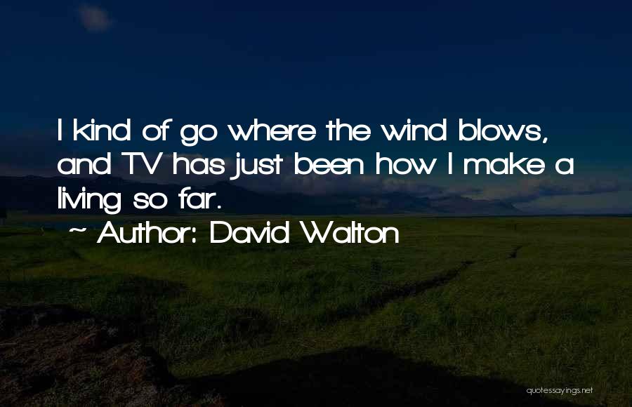 David Walton Quotes: I Kind Of Go Where The Wind Blows, And Tv Has Just Been How I Make A Living So Far.