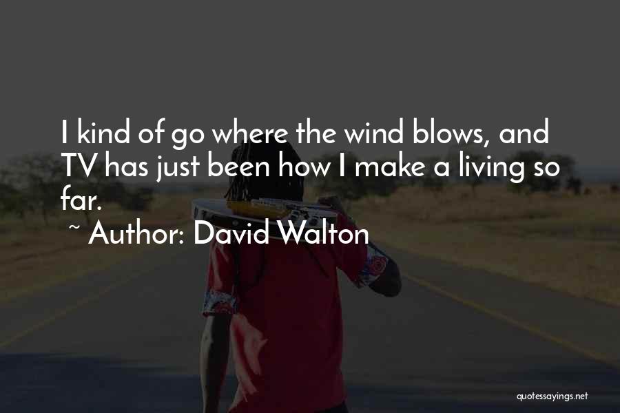 David Walton Quotes: I Kind Of Go Where The Wind Blows, And Tv Has Just Been How I Make A Living So Far.