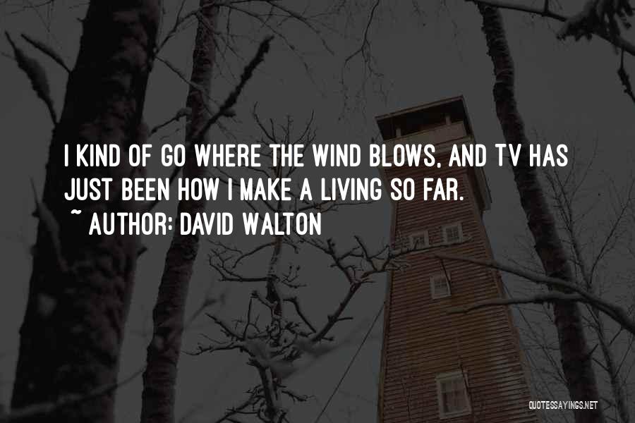 David Walton Quotes: I Kind Of Go Where The Wind Blows, And Tv Has Just Been How I Make A Living So Far.