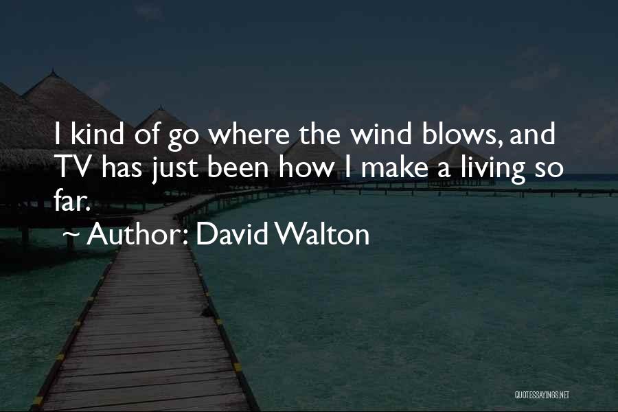 David Walton Quotes: I Kind Of Go Where The Wind Blows, And Tv Has Just Been How I Make A Living So Far.