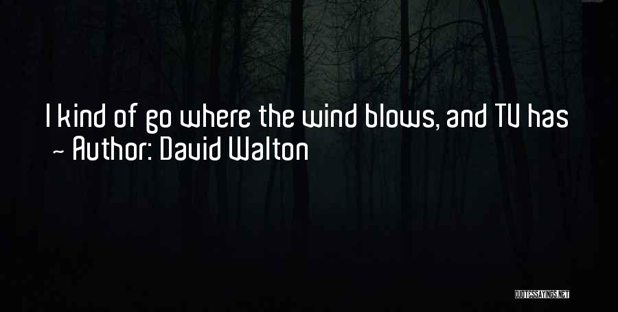 David Walton Quotes: I Kind Of Go Where The Wind Blows, And Tv Has Just Been How I Make A Living So Far.