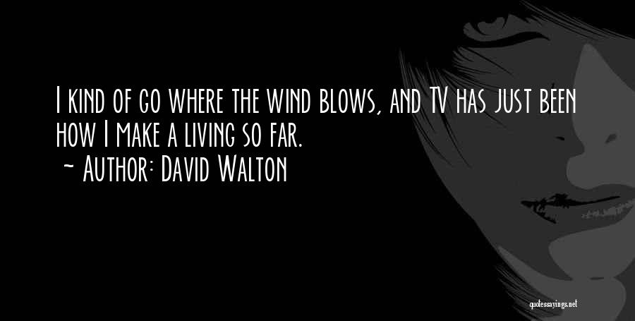 David Walton Quotes: I Kind Of Go Where The Wind Blows, And Tv Has Just Been How I Make A Living So Far.