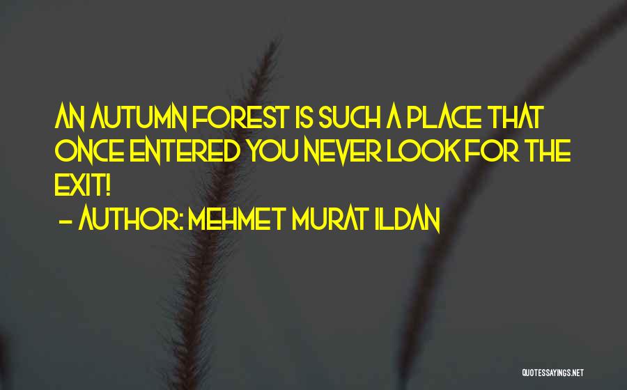 Mehmet Murat Ildan Quotes: An Autumn Forest Is Such A Place That Once Entered You Never Look For The Exit!