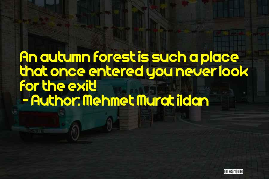 Mehmet Murat Ildan Quotes: An Autumn Forest Is Such A Place That Once Entered You Never Look For The Exit!