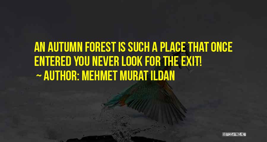 Mehmet Murat Ildan Quotes: An Autumn Forest Is Such A Place That Once Entered You Never Look For The Exit!