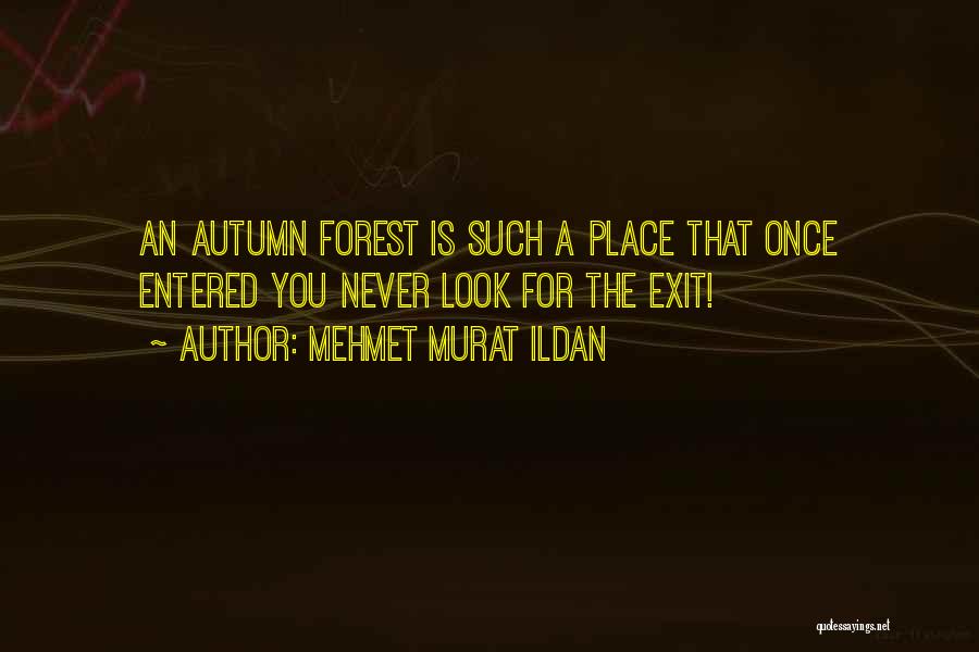 Mehmet Murat Ildan Quotes: An Autumn Forest Is Such A Place That Once Entered You Never Look For The Exit!