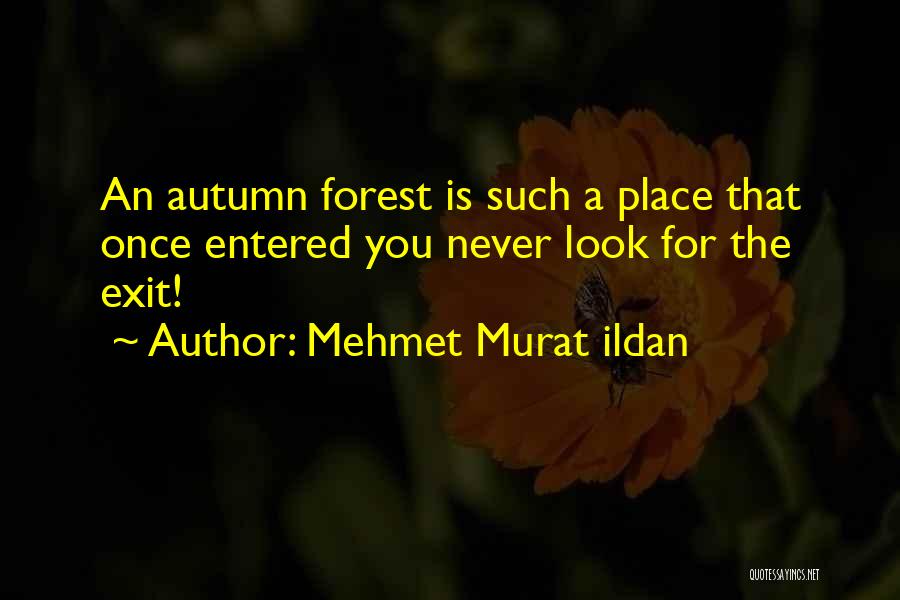 Mehmet Murat Ildan Quotes: An Autumn Forest Is Such A Place That Once Entered You Never Look For The Exit!