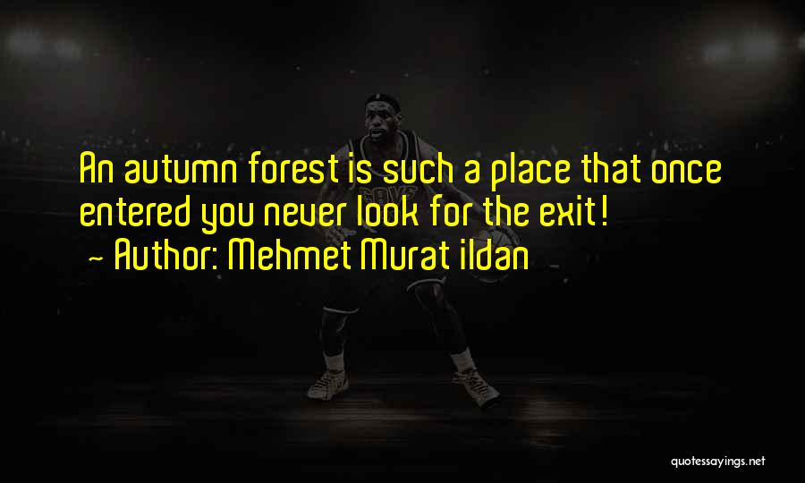 Mehmet Murat Ildan Quotes: An Autumn Forest Is Such A Place That Once Entered You Never Look For The Exit!