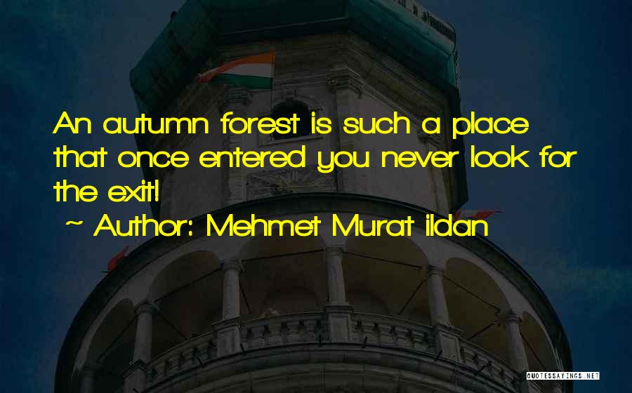 Mehmet Murat Ildan Quotes: An Autumn Forest Is Such A Place That Once Entered You Never Look For The Exit!