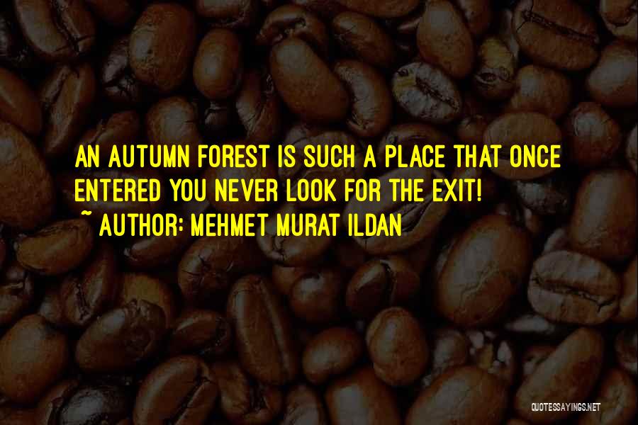 Mehmet Murat Ildan Quotes: An Autumn Forest Is Such A Place That Once Entered You Never Look For The Exit!