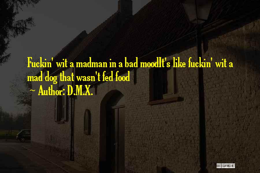D.M.X. Quotes: Fuckin' Wit A Madman In A Bad Moodit's Like Fuckin' Wit A Mad Dog That Wasn't Fed Food