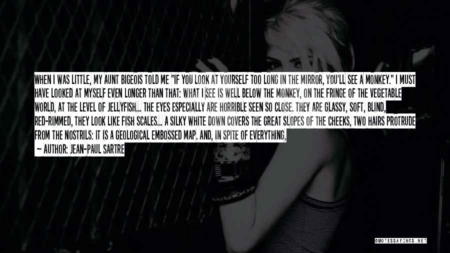 Jean-Paul Sartre Quotes: When I Was Little, My Aunt Bigeois Told Me If You Look At Yourself Too Long In The Mirror, You'll