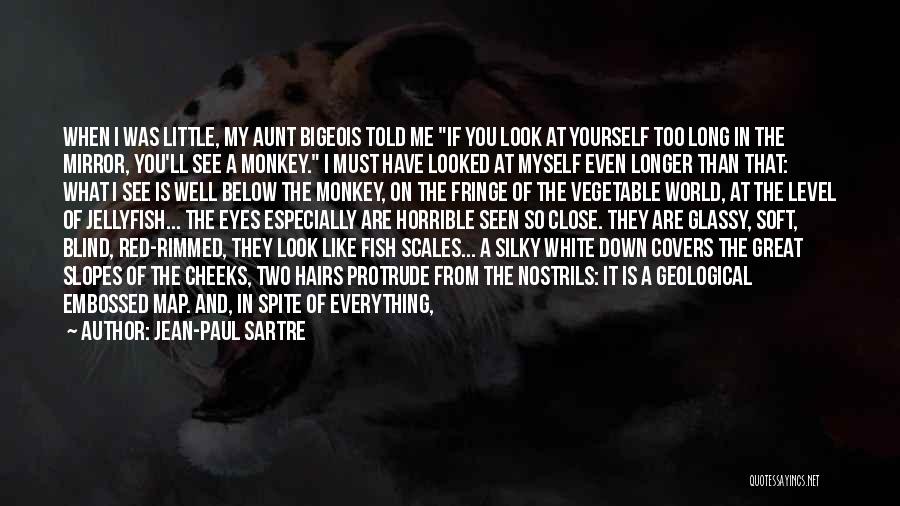 Jean-Paul Sartre Quotes: When I Was Little, My Aunt Bigeois Told Me If You Look At Yourself Too Long In The Mirror, You'll