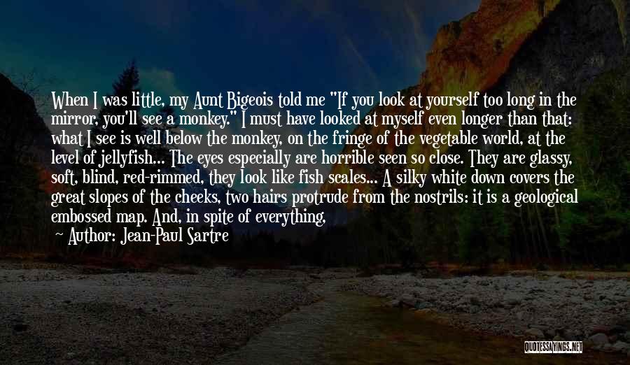 Jean-Paul Sartre Quotes: When I Was Little, My Aunt Bigeois Told Me If You Look At Yourself Too Long In The Mirror, You'll