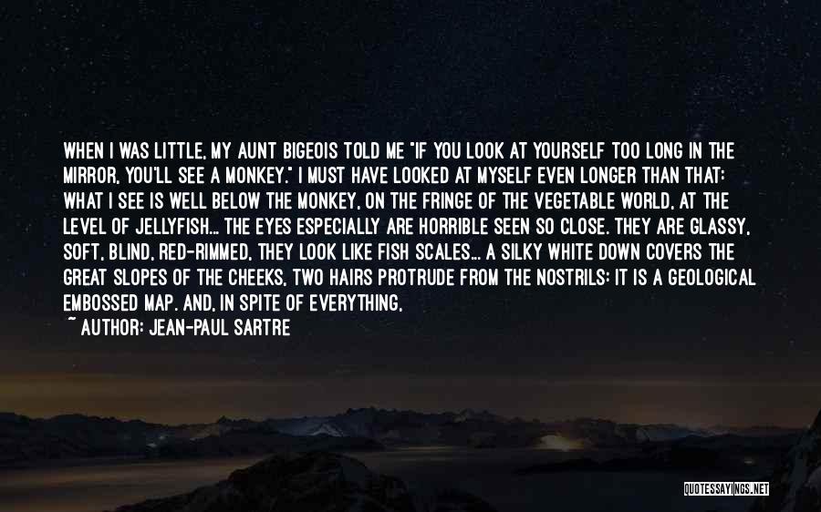 Jean-Paul Sartre Quotes: When I Was Little, My Aunt Bigeois Told Me If You Look At Yourself Too Long In The Mirror, You'll