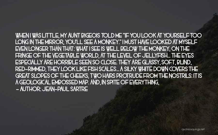 Jean-Paul Sartre Quotes: When I Was Little, My Aunt Bigeois Told Me If You Look At Yourself Too Long In The Mirror, You'll