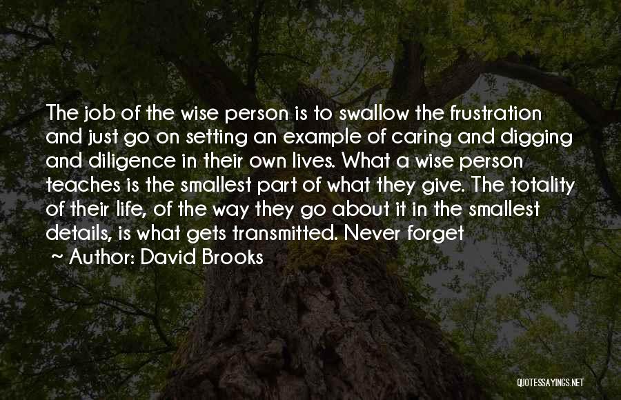 David Brooks Quotes: The Job Of The Wise Person Is To Swallow The Frustration And Just Go On Setting An Example Of Caring