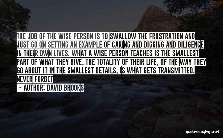 David Brooks Quotes: The Job Of The Wise Person Is To Swallow The Frustration And Just Go On Setting An Example Of Caring