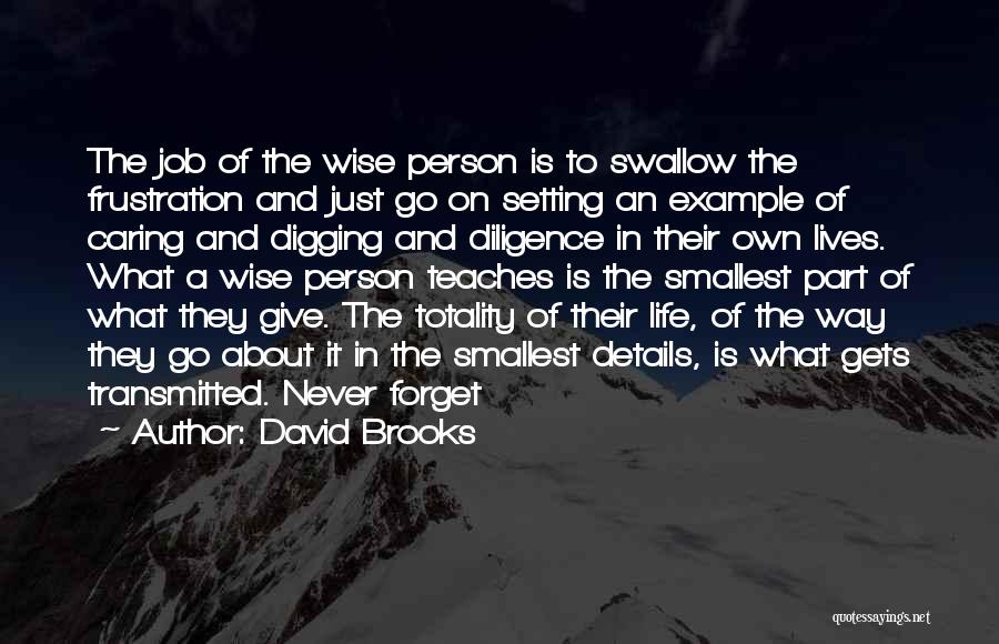 David Brooks Quotes: The Job Of The Wise Person Is To Swallow The Frustration And Just Go On Setting An Example Of Caring