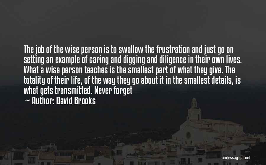 David Brooks Quotes: The Job Of The Wise Person Is To Swallow The Frustration And Just Go On Setting An Example Of Caring