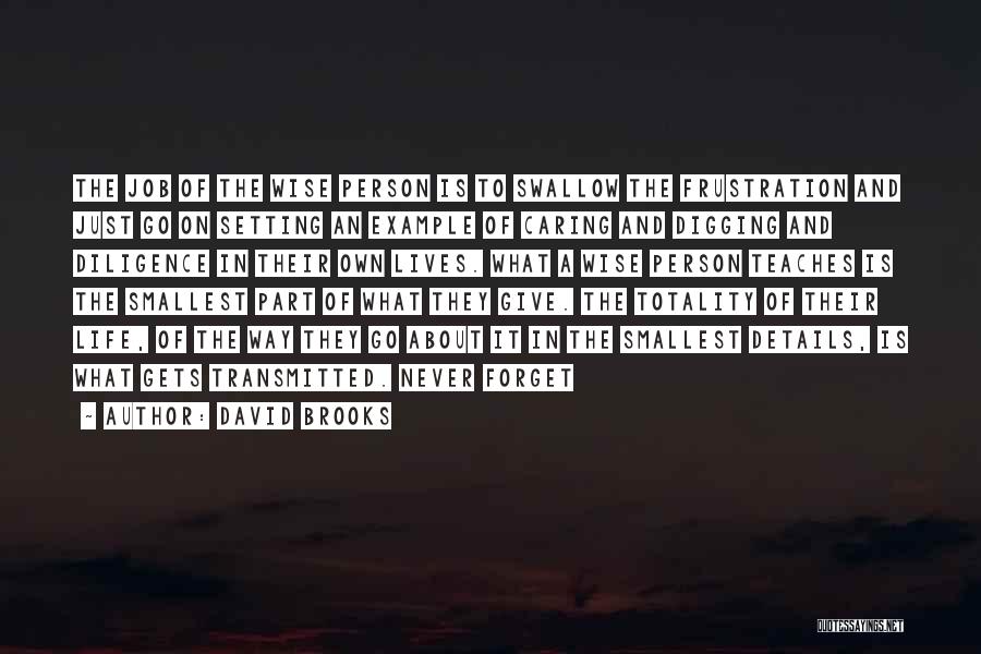 David Brooks Quotes: The Job Of The Wise Person Is To Swallow The Frustration And Just Go On Setting An Example Of Caring