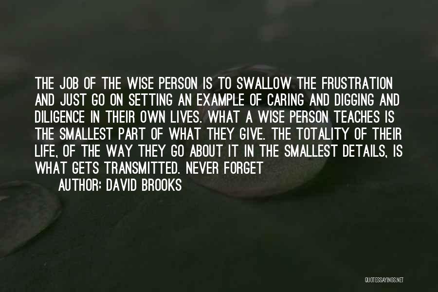 David Brooks Quotes: The Job Of The Wise Person Is To Swallow The Frustration And Just Go On Setting An Example Of Caring